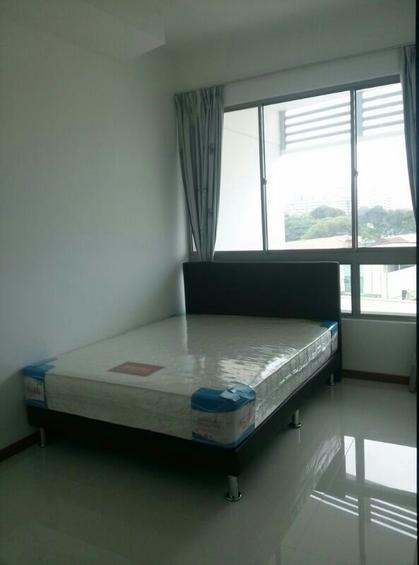 Loft @ Rangoon (D8), Apartment #104976482